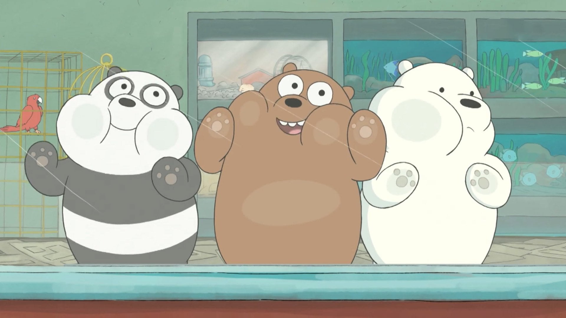 Season 4