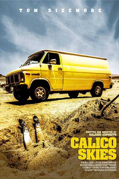Calico Skies