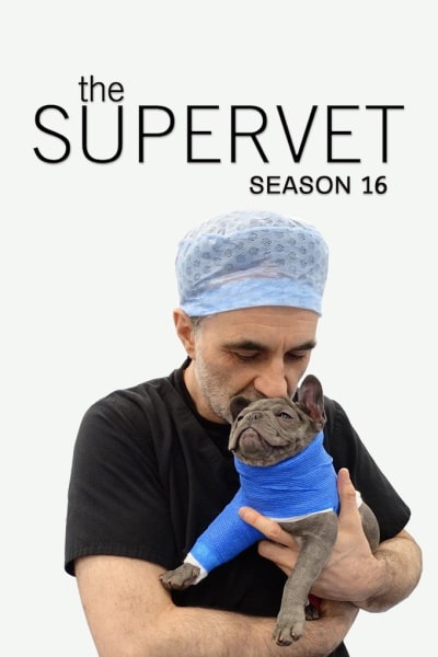 The Supervet - Season 16