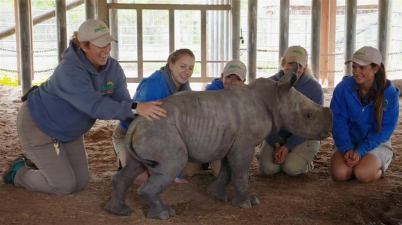 Season 2