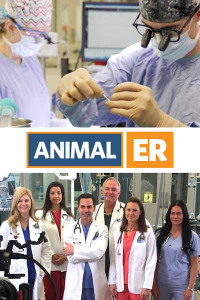 Animal ER - Season 1