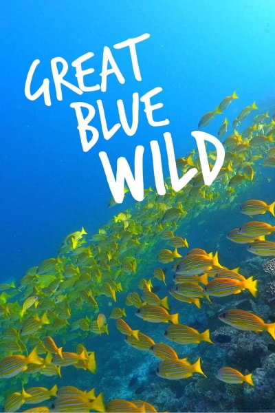 Great Blue Wild - Season 3