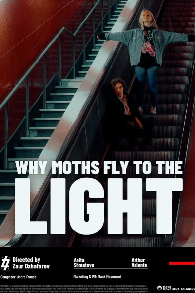 Why Moths Fly to the Light [Audio: French]