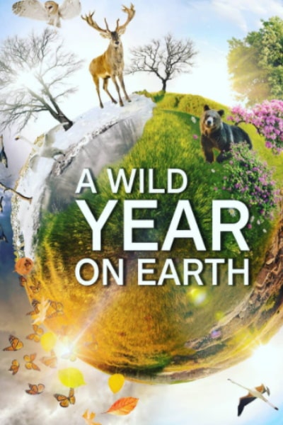 A Wild Year on Earth&nbsp;- Season 1