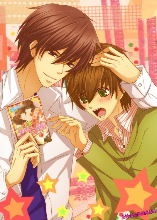 Sekaiichi Hatsukoi Movie: Yokozawa Takafumi no Baai [Sub: Eng]