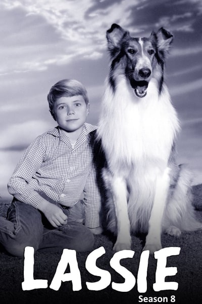 Lassie - Season 8