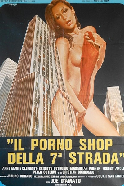 Pleasure Shop on 7th Avenue (Il porno shop della settima strada)
