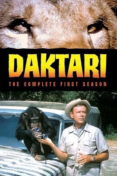 Daktari - Season 1